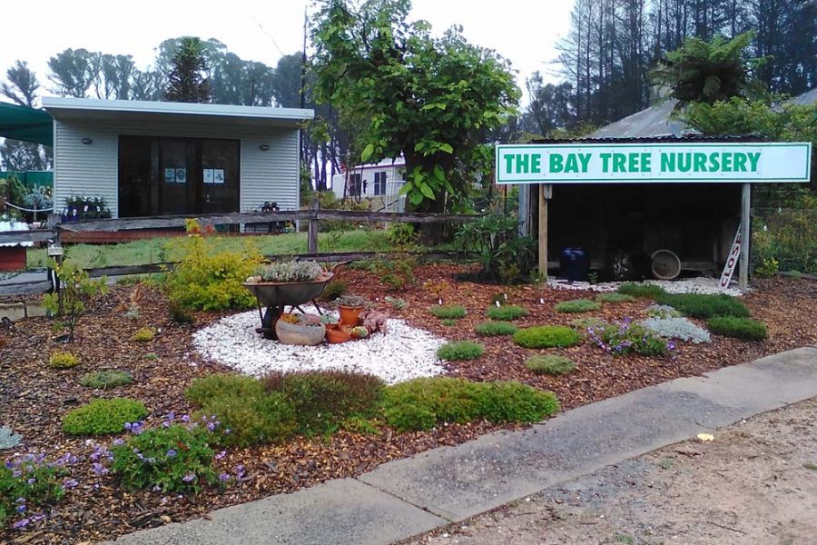 Bay Tree Nursery