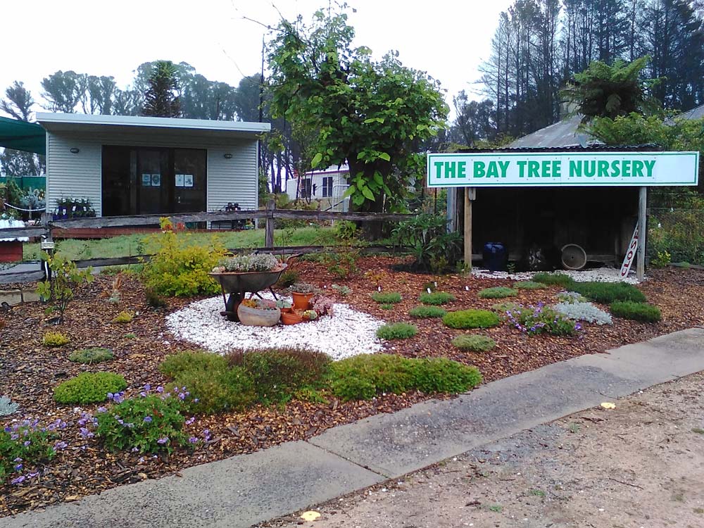 Bay Tree Nursery