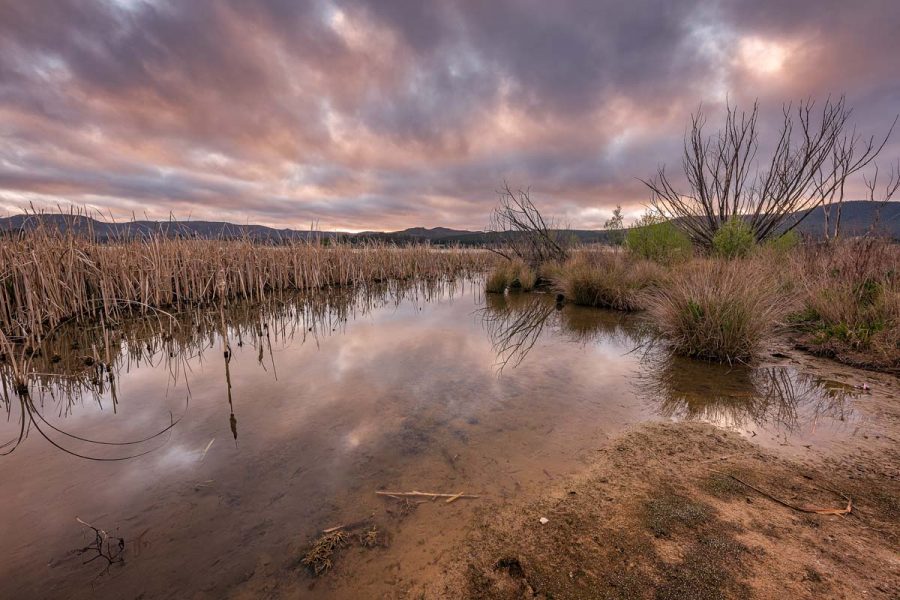 Lake Wallace